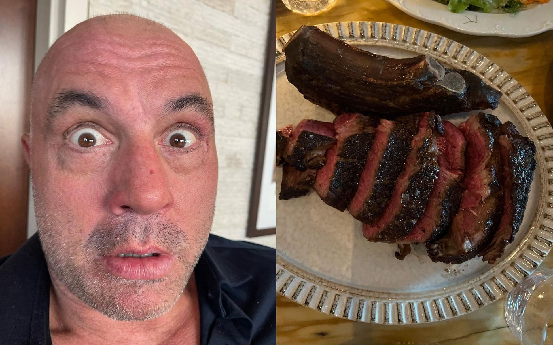 Carnivore Diet Diarrhea Health Management